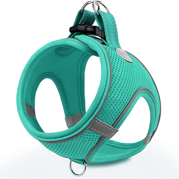 BLUETREE Harness for animals,Dog Harness,Breathable Mesh Vest Harness,Reflective Soft Padded Harnesses for Extra Small and Small Dogs,Teal,S