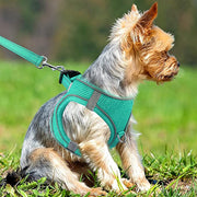BLUETREE Harness for animals,Dog Harness,Breathable Mesh Vest Harness,Reflective Soft Padded Harnesses for Extra Small and Small Dogs,Teal,S