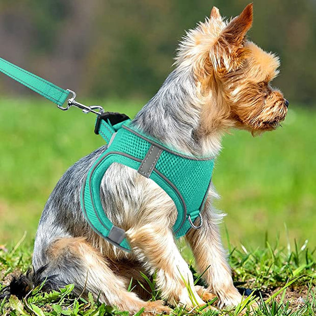 BLUETREE Harness for animals,Dog Harness,Breathable Mesh Vest Harness,Reflective Soft Padded Harnesses for Extra Small and Small Dogs,Teal,S