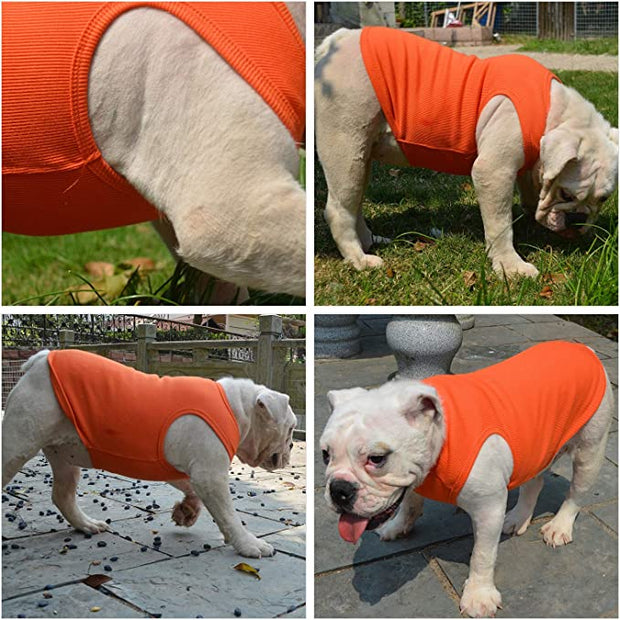 BLUETREE Clothing for pets, Dog Clothes Blank T-Shirts Ribbed Tanks Top Thread Vests for Large Medium Small Dogs 100% Cotton Orange M