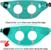 BLUETREE Harness for animals,Dog Harness,Breathable Mesh Vest Harness,Reflective Soft Padded Harnesses for Extra Small and Small Dogs,Teal,S