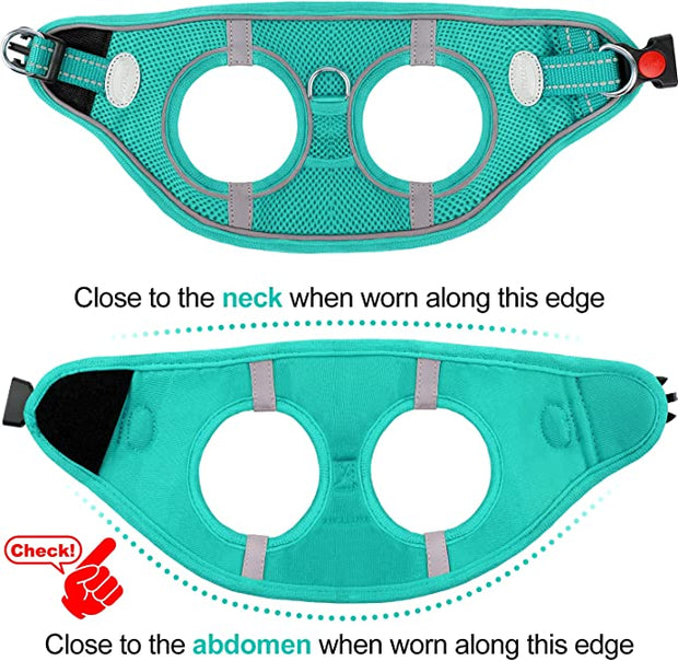 BLUETREE Harness for animals,Dog Harness,Breathable Mesh Vest Harness,Reflective Soft Padded Harnesses for Extra Small and Small Dogs,Teal,S