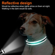 BLUETREE Collars for animals,Reflective Dog Collar,Soft Neoprene Padded Breathable Nylon Pet Collar Adjustable for Medium Dogs