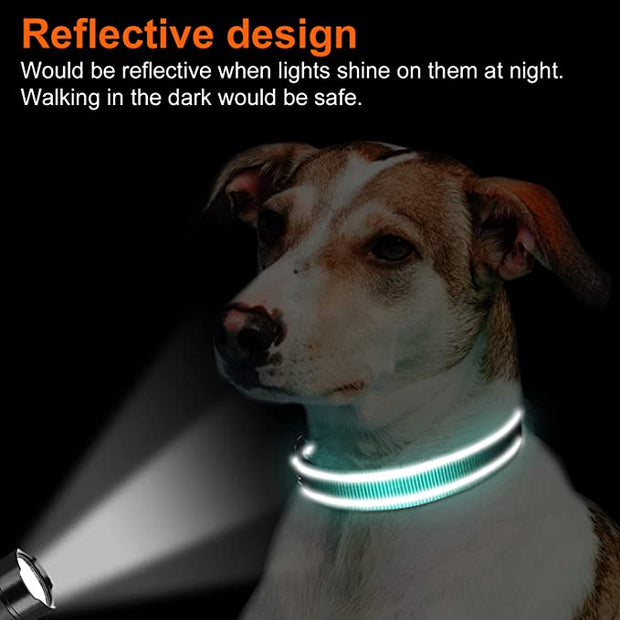 BLUETREE Collars for animals,Reflective Dog Collar,Soft Neoprene Padded Breathable Nylon Pet Collar Adjustable for Medium Dogs